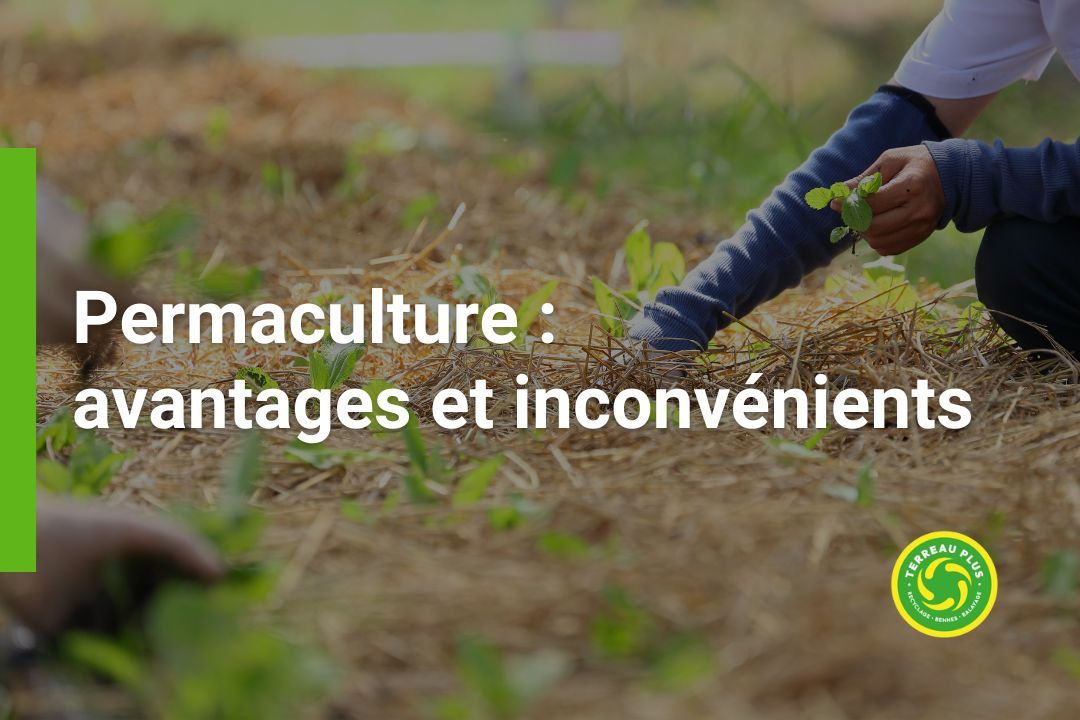 Les avantages et inconvénients de la permaculture