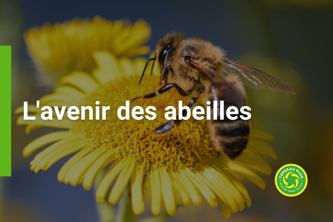 L'avenir des abeilles