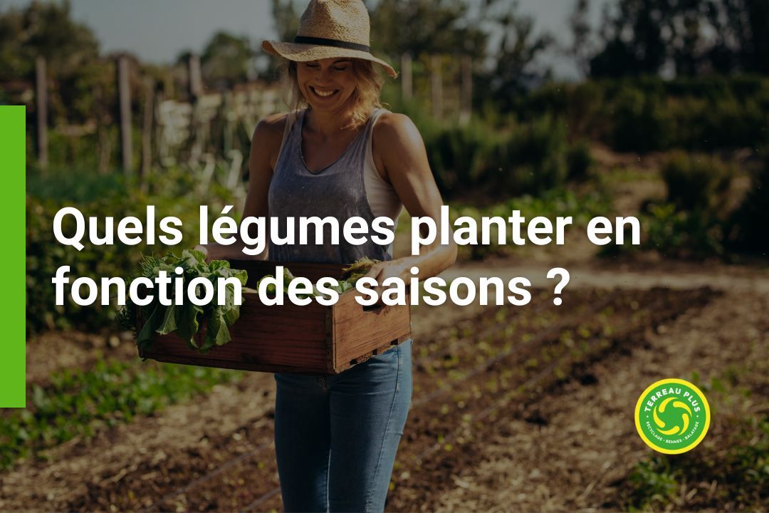 Quels légumes planter en fonction des saisons ?