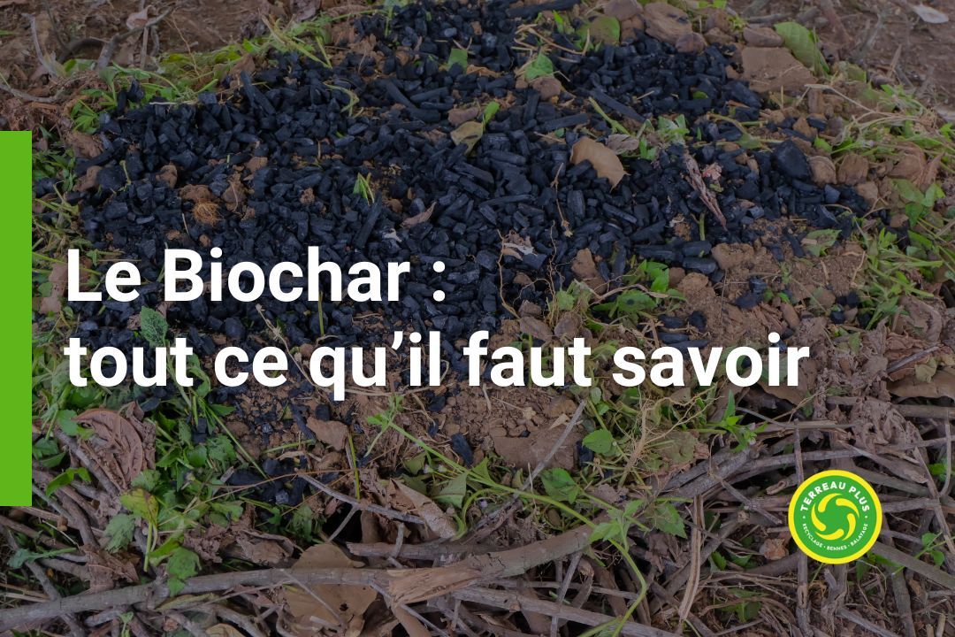 Tout ce qu'il faut savoir sur le Biochar