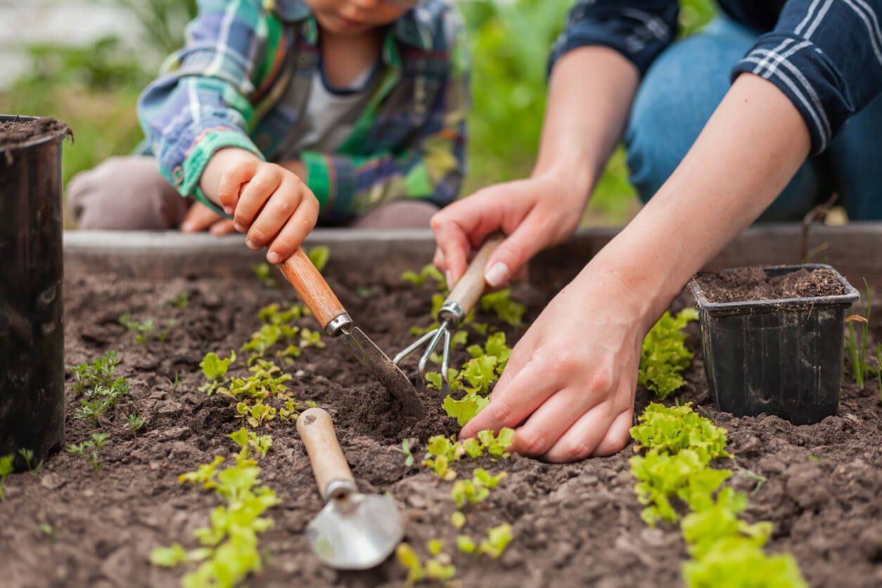 Calendrier du potager