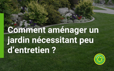 Comment aménager un jardin nécessitant peu d’entretien ?