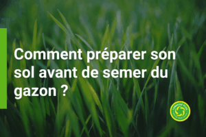 Comment préparer son sol avant de semer du gazon