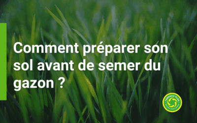 Comment préparer son sol avant de semer du gazon ?
