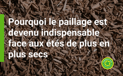 Pourquoi le paillage est devenu indispensable face aux étés de plus en plus secs