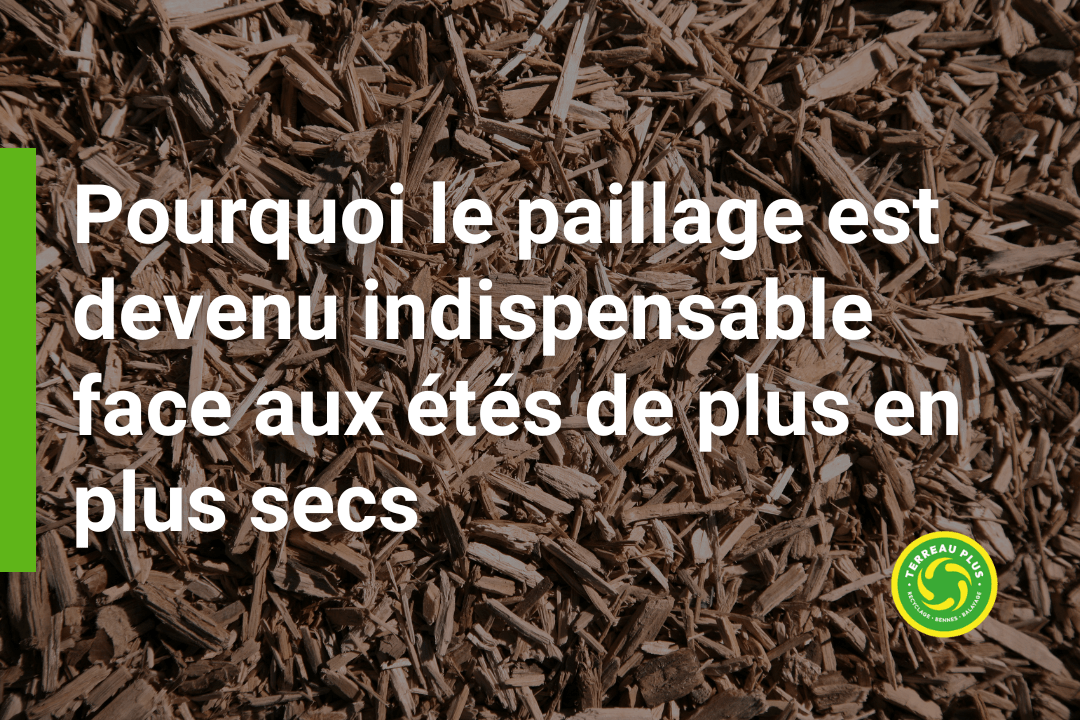 Paillage été sec article Paillage été sec